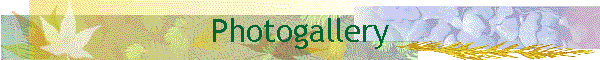 Photogallery