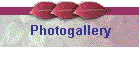 Photogallery